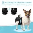 thumbnail image 6 of Avont 3 Pack Washable Female Dog Diapers, Premium Reusable Highly Absorbent Doggie Diapers Wraps Durable Dog Diaper Cover - Black/ XL, 6 of 8