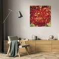 thumbnail image 3 of Selina Werbelow 26x26 Gallery Wrapped Canvas Wall Art Titled - Chrysanthemum, 3 of 4