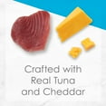 thumbnail image 6 of Purina Fancy Feast Delight Grilled Wet Cat Food Tuna Cheddar Cheese, 3 oz Can (Pack of 8), 6 of 6