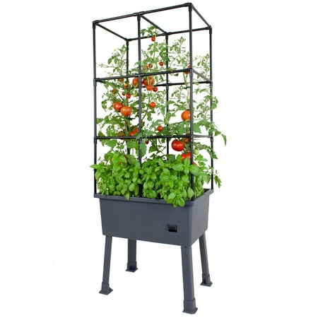 New Patio Ideas Frame It All Patio Ideas - 15.75