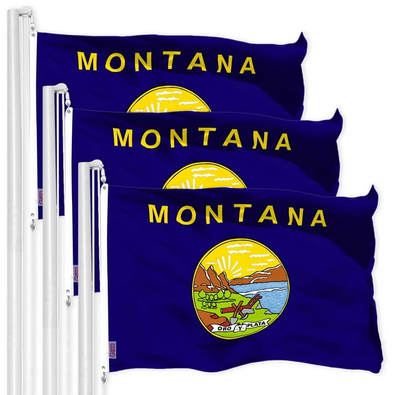 G128 3 Pack: Montana MT State Flag | 3x5 Ft | LiteWeave Pro Series Printed 150D Polyester | Indoor/Outdoor, Vibrant Colors, Brass Grommets, Thicker and More Durable Than 100D 75D Polyester