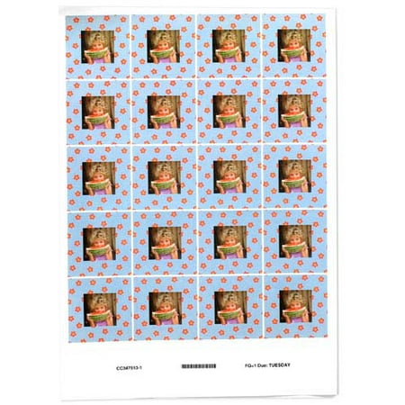 Photo Stickers (20)