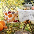 thumbnail image 3 of Fall Pillow Covers 18x18 Set of 2,Thanksgiving Pillows Decorative Throw Pillows Autumn Fall Leaves Outdoor Decor Pillow Cases Fall Decorations for Home Porch Farmhouse, 3 of 6