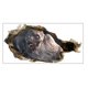 thumbnail image 1 of Injueey Horror Zombie Halloween pegatinas de pared 3D decoración del hogar impermeable TV telón de fondo calcomanías puerta papel tapiz accesorios de Kits de decoración para fiestas KM310 Injueey HA068224-02, 1 of 6