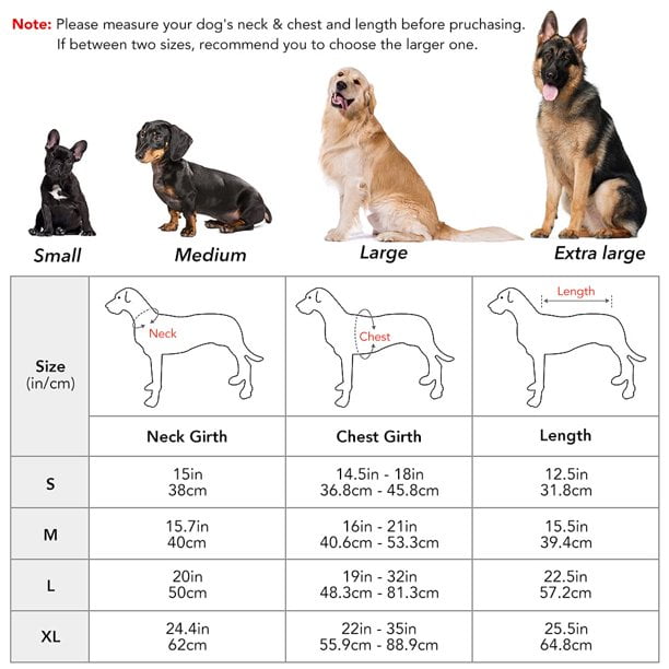 What Are Deep Chested Dogs