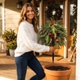 thumbnail image 6 of Uv Resistant Artificial Poinsettia Yard Stake, Realistic Christmas Floral Stake with Frosted Branches, Pine Cones and Berries, for Outdoor Garden and Indoor Tabletop Holiday Decor, 6 of 7