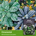 thumbnail image 2 of 5 Packs Garden Blend Kale Seeds - Non-GMO Heirloom Full Sun Biennial Vegetable, 2 of 6