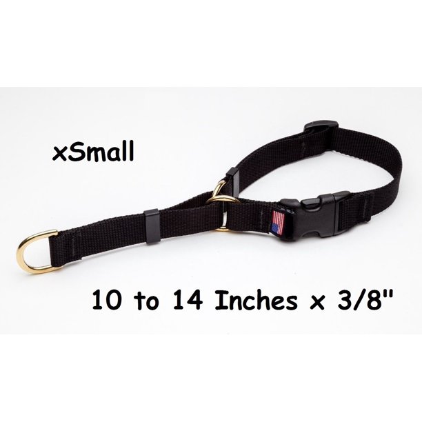 Deluxe Adjustable Martingale Dog Collar Bulk Packs Rescue Shelter Vet