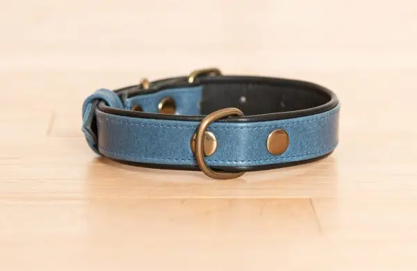 Dog Collar, Blue Dog Collar with Black Inner Liner - 4XL/5XL