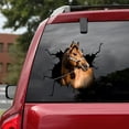 thumbnail image 6 of AOOOWER Animal Horse Sticker Car 3D Funny Simulation Applique for Truck Window Bathroom, 6 of 10