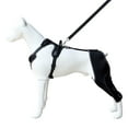 thumbnail image 7 of 2026 New Wag Wize Knee Brace Harness for Dogs,Wag Wize Dog Knee Brace for Torn Acl/Ccl Hind Leg,Wagwize Dog Hip Brace,Adjustable Support,Non-Slip,Breathable,Sufficient Wrapping(XL), 7 of 7