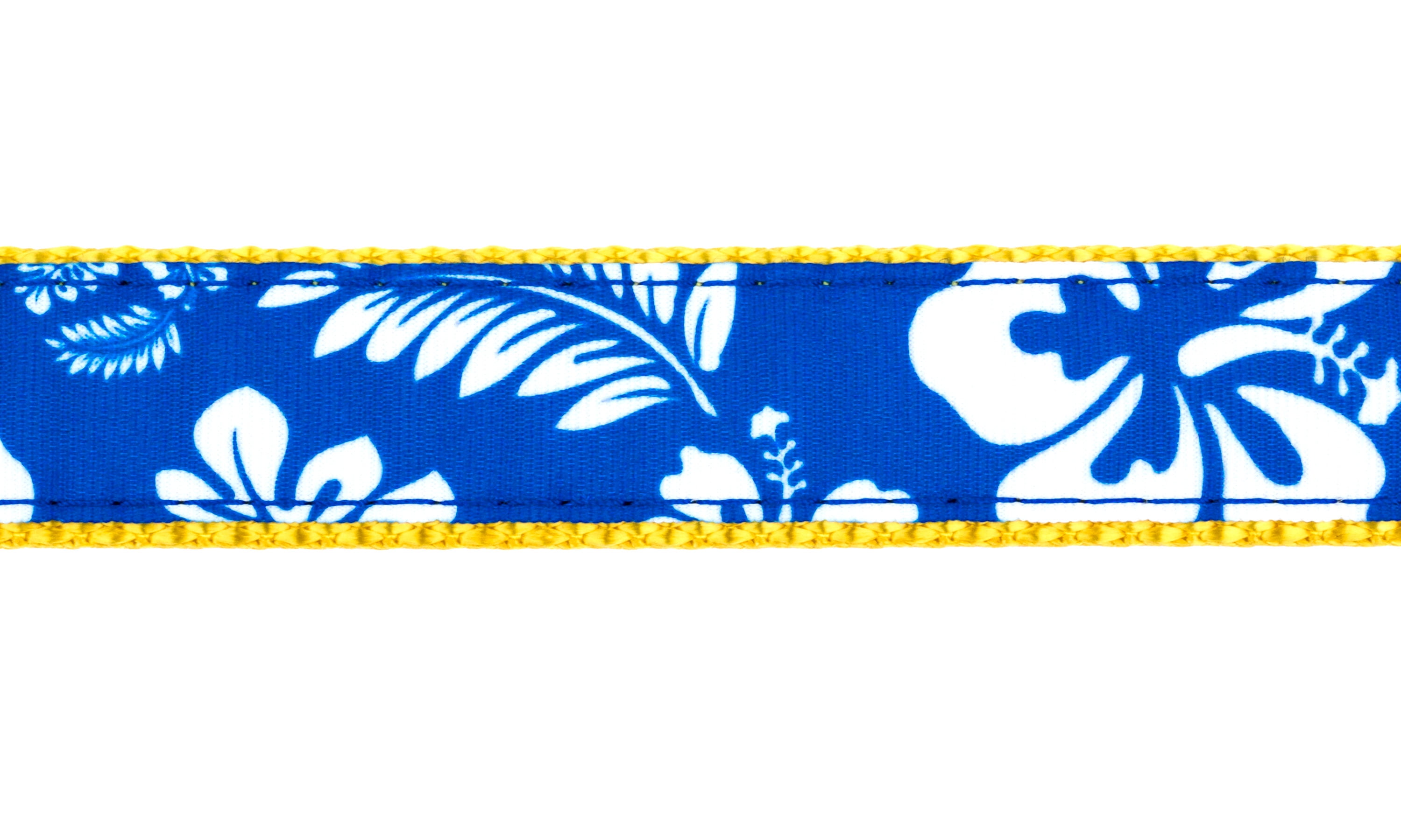 Country Brook Design - Royal Blue Hawaiian on Gold Nylon Webbing (1 Inch, 20 Yards)