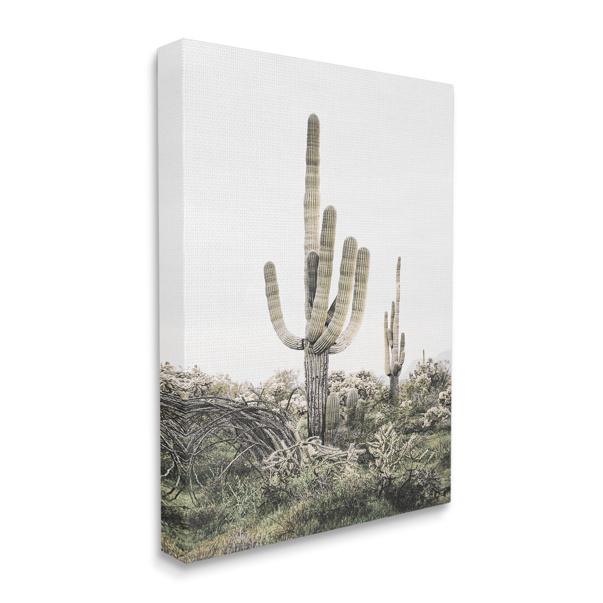 Stupell Industries Desert Landscape Cacti Botanical & Floral Photography Gallery Wrapped Canvas Print Wall Art, 24 x 30