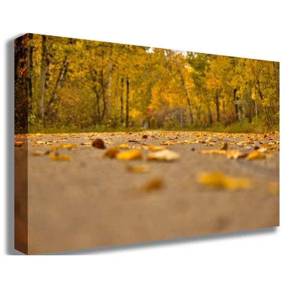 Boer "Autumn Road" Canvas Print