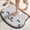 Cat, variant on Thickened special-shaped bathroom absorbent floor mat flannel toilet mat shower room non-slip and dirt-resistant foot mat