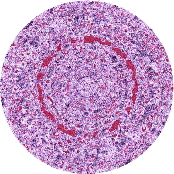 Ahgly Company Machine Washable Indoor Round Transitional Blossom Pink Area Rugs, 4' Round