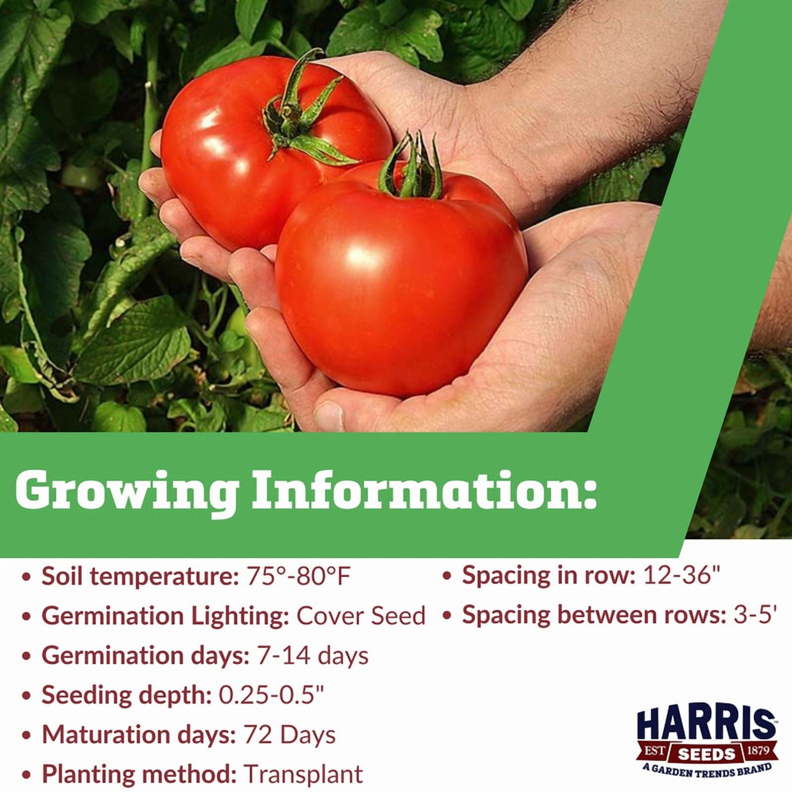 Harris Seeds Tomato Red Deuce F1, Non-GMO, Large Globe-Shaped Red Tomatoes, 500 Count
