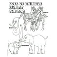 thumbnail image 3 of Animals Everywhere Imprint Coloring Book (25 Copies) (8.5x11), 3 of 5