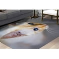 thumbnail image 2 of Animal Rugs, Home Decor Rugs, Salon Decor Rug, Door Mat Rug, Cat Photo Print Rug, Thin Rugs, Cat Rugs, Animal Rug, Popular Rugs, Thick Rugs, 2.6'x6.5' - 80x200 cm, 2 of 8