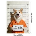 thumbnail image 3 of All Season Soft Warm Bed Blanket Cozy Comfort Throw For Home And Travel Use, 3 of 7