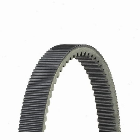 Dayco XTX XTX5066 Drive Belt