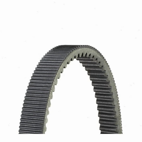 Dayco XTX XTX5066 Drive Belt