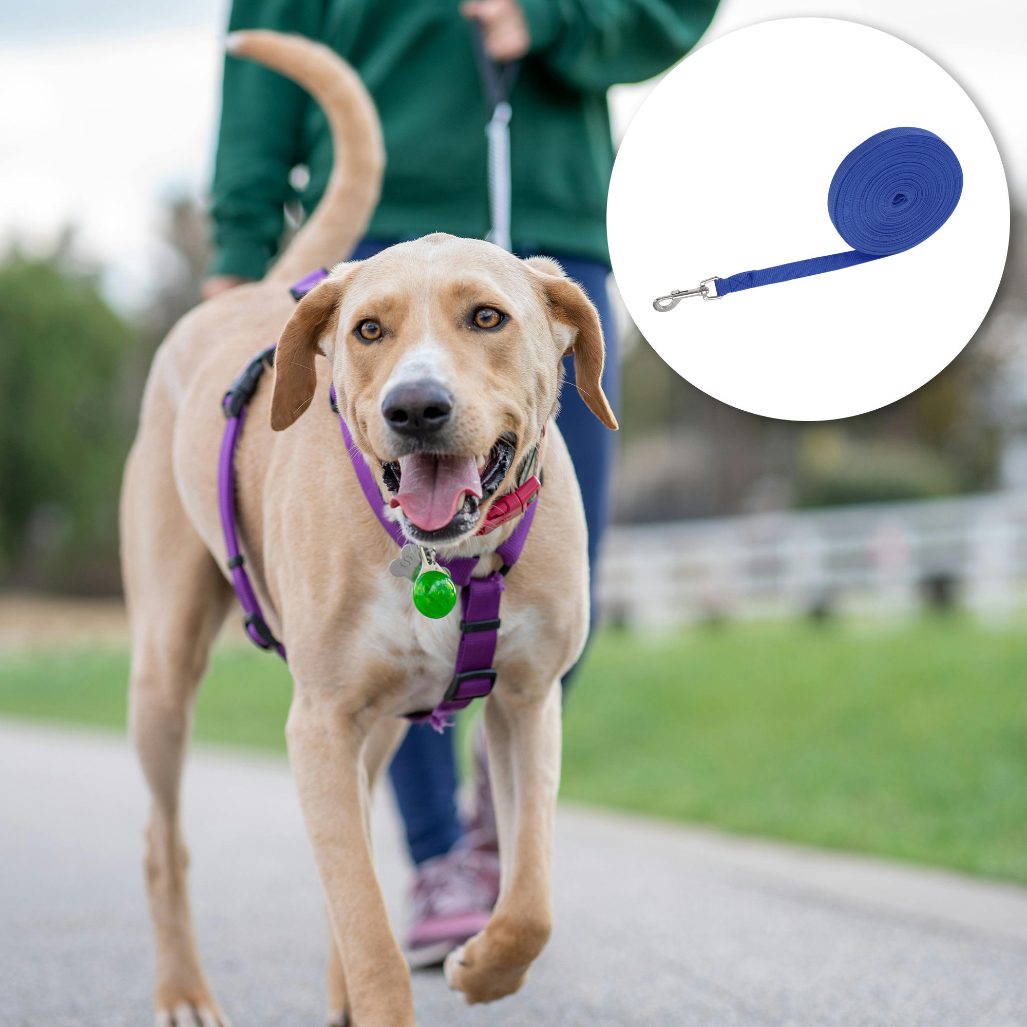 Unique Bargains Training Dog Leash 65.6ft Long Blue