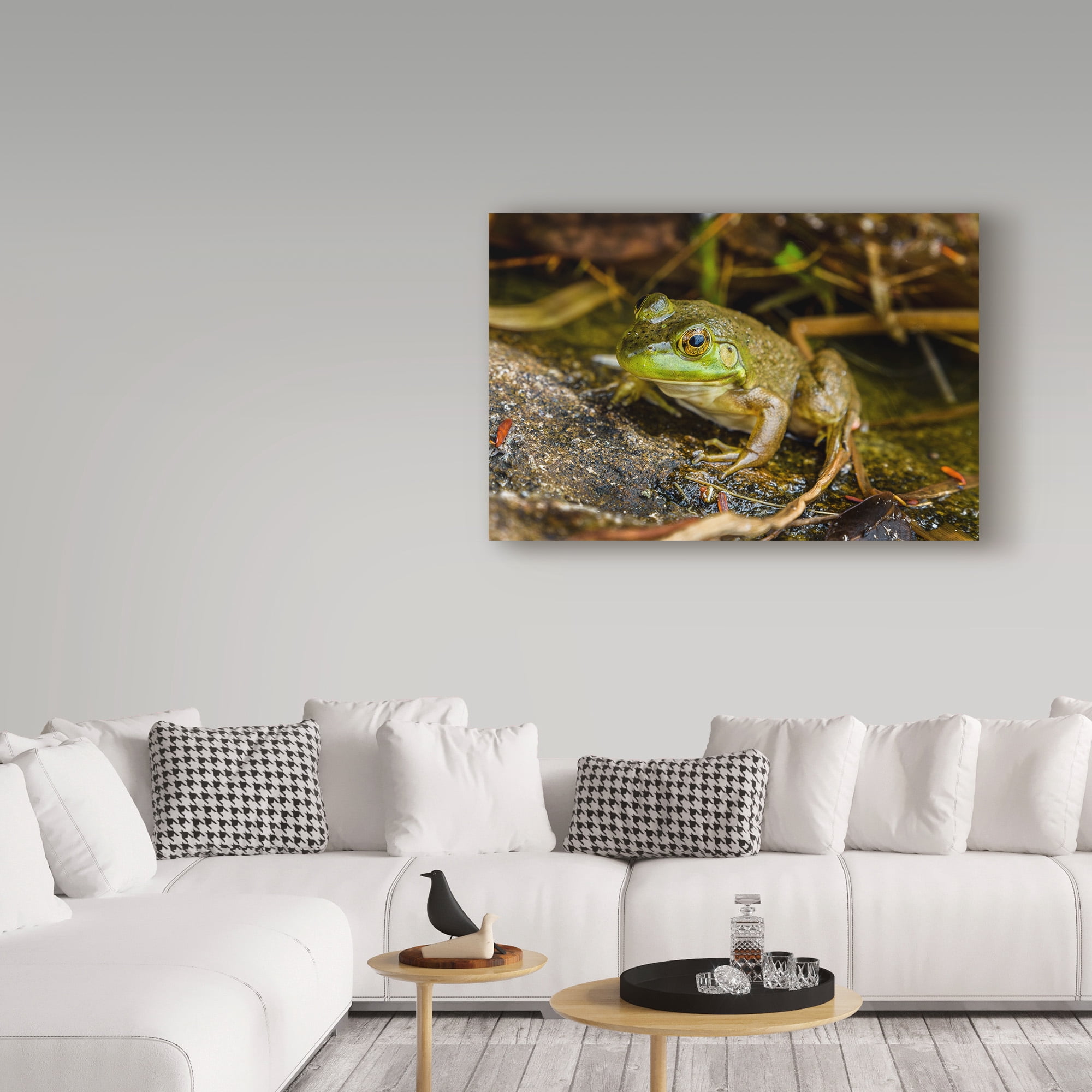 Trademark Fine Art 'Frog Ribbit' Canvas Art by Brenda Petrella Photography Llc