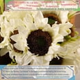 thumbnail image 5 of 2pcs Artificial Sunflower Bouquets,22 Inch Bouquet with 9pcs Silk Sunflowers,Artificial Flowers for Wedding Bridal Bridesmaid,Rustic Home Décor Centerpiece,White and Green, 5 of 5
