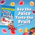 thumbnail image 5 of Welch's Juicefuls Juicy Fruit Snacks, Mixed Fruit & Berry Blast Fruit Gushers Variety Pack, Perfect for School Lunches, Gluten Free, 4 oz Sharing Size Bags (Pack of 6), 5 of 8