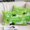 Green, Lime, Neon, Black, variant on Halloween King Size Pillow Cover, Pillowcase Protectors with Zipper, Breathable Decorative Throw Pillow Case Cover, Spooky Autumn Orange Cat Pumpkins Pillow Shams for Couch Sofa 20x36Inch