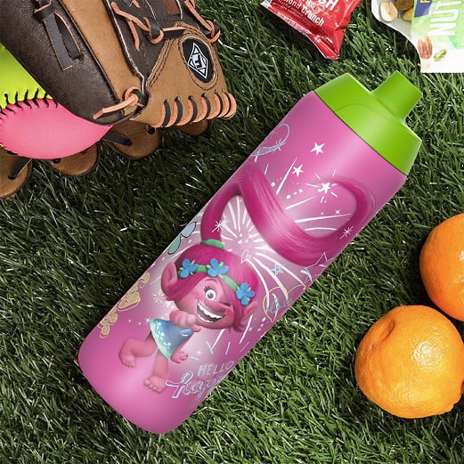 Zak Designs DreamWorks Trolls Movie Food Container and 19 oz Spout Water  Bottle Set, Leak-Proof BPA-Free Designs are Perfect for School Kids (2pc  Set)… 