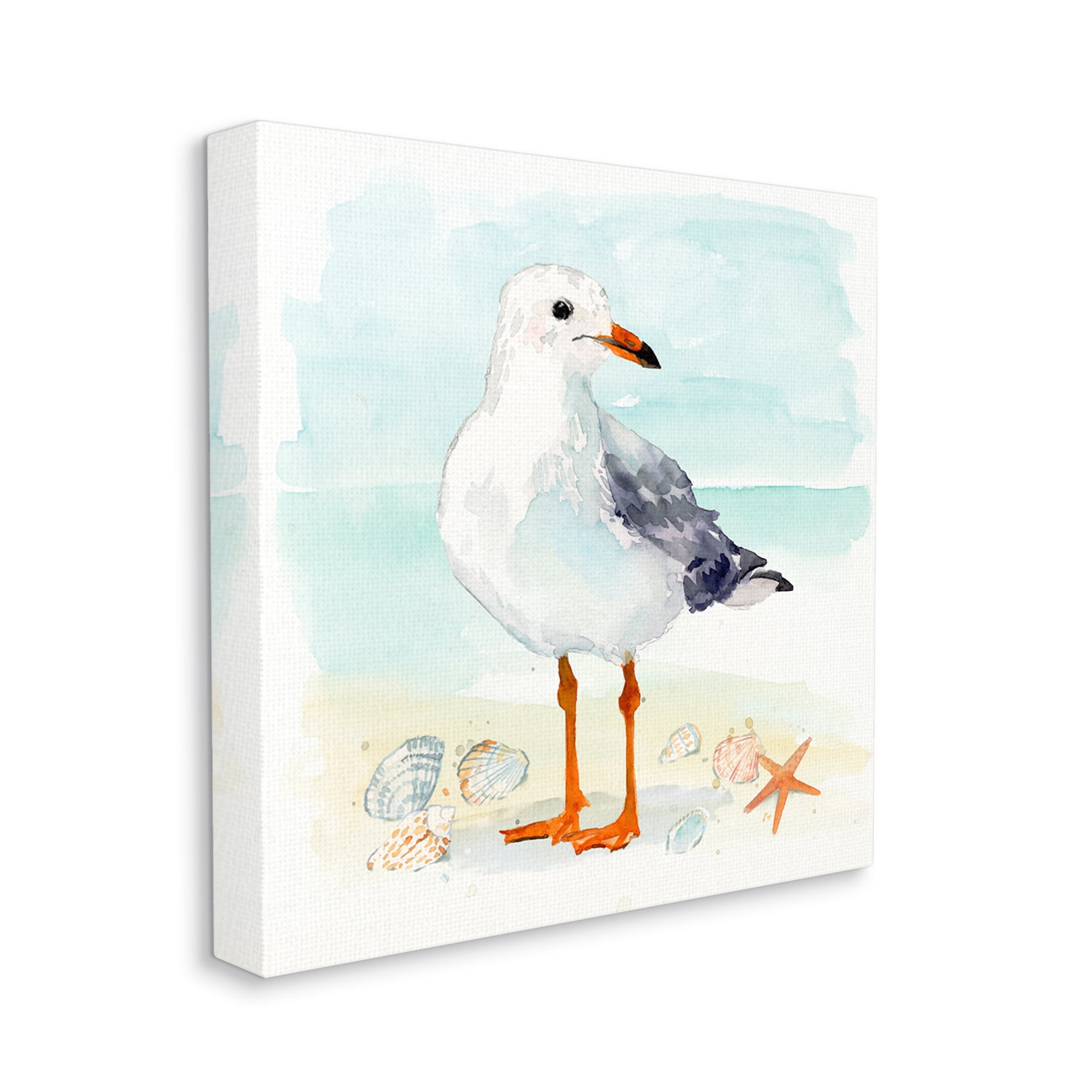 Stupell Industries Coastal Seagull & Shells Animals & Insects Painting Gallery Wrapped Canvas Art Print Wall Art, 36 x 36