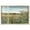 Blonde Frame, variant on Glimmering Glade Garden II Shadowbox Print Landscape Wall Art by Art Remedy, White Frame, 15 x 10