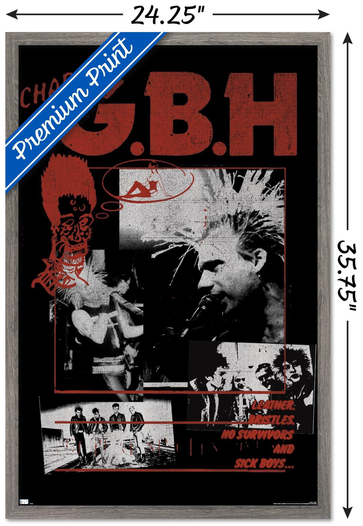 GBH - Montage Wall Poster, 22.375" x 34", Framed