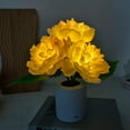 thumbnail image 1 of LINLIN Desk Lamp LED Peony Flower Night Light Artificial Flower Lamp with Vase,Table Lamp Ornaments Living Atmosphere Light Room Desktop Decor for Home Table Centerpieces,Night Lamp,Gift, 1 of 9