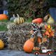 thumbnail image 5 of Guirnalda De Granja De Halloween, Decoraciones Vintage, Calabaza De Acción De Gracias, Camión, Ventana, Puerta, Decoración Colgante De Pared Vogacara HA037688-00, 5 of 6