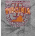 thumbnail image 2 of Virginia Athletic Stencil Aesthetic Men's Graphic T Shirt Tees Brisco Brands S, 2 of 4