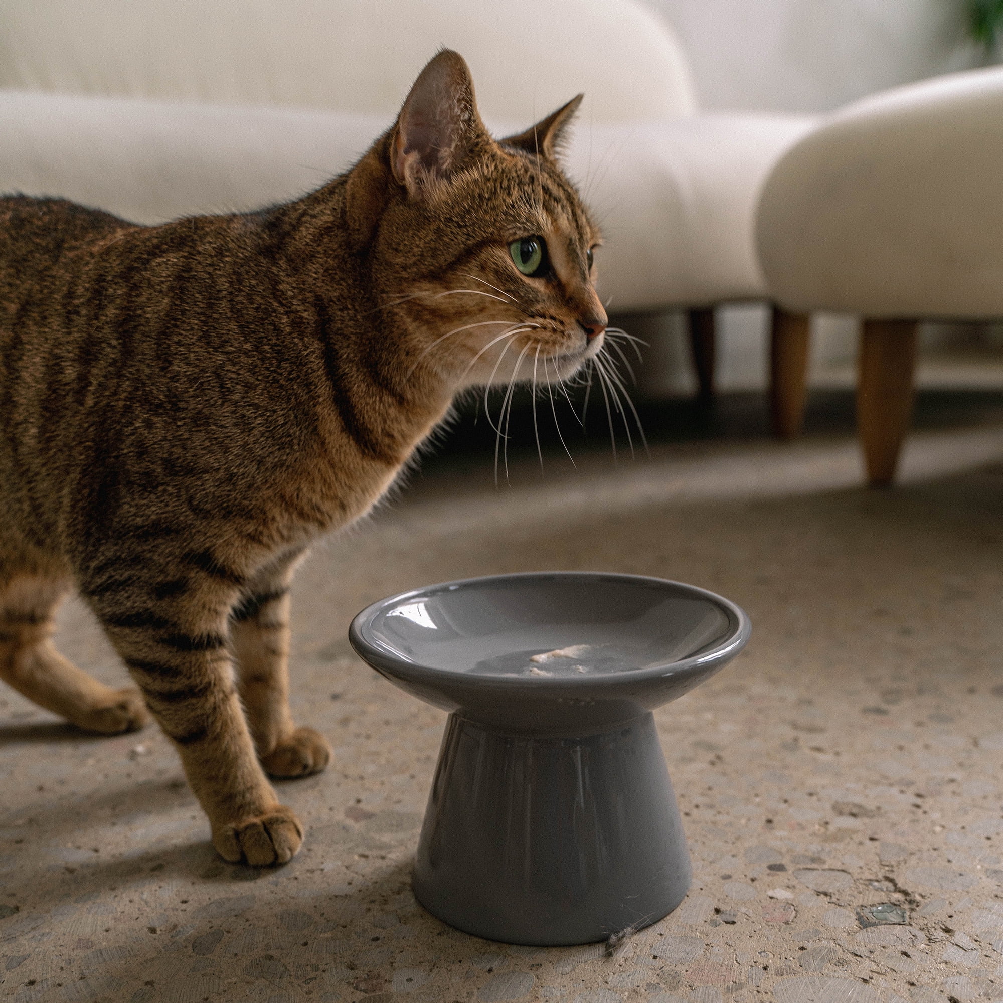 Dexypaws: Flat Top Ceramic Cat Bowl - Grey - 7.5oz, Pet Feeding Dish, Meals, Food & Water, Raised Ergonomic Height, Whisker Friendly, Stylish Design