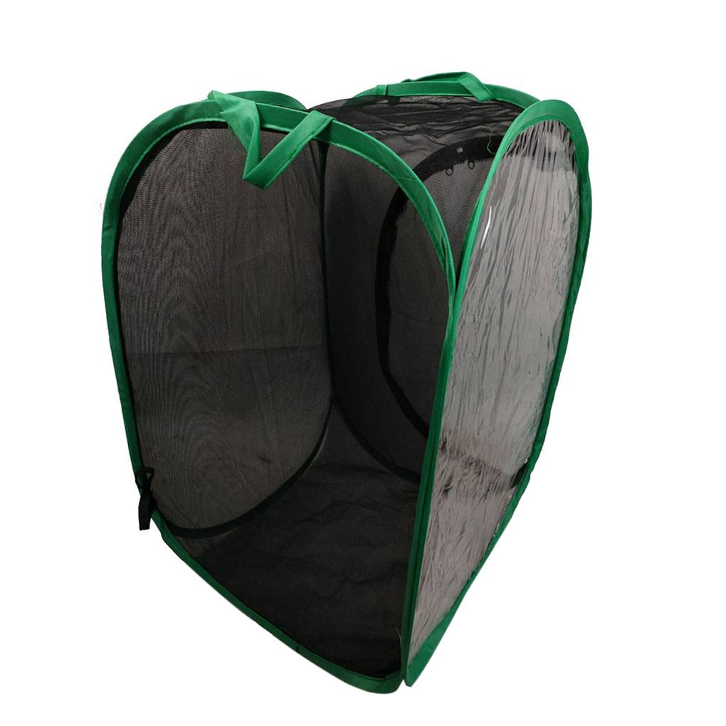 Foldable Lighttransmitting Insect Butterfly Habitat Net Mesh Terrarium