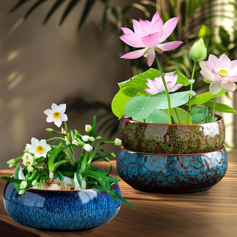 Lotus Bowl Planter, Lotus Bowls for Planting in Water Indoors,Bonsai Bowl  Lotus Flower Seeds, Ceramic Planters for Indoor Plants, Applicable to ...
