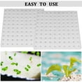 thumbnail image 6 of Hydroponic Sponges for Soilless Gardening | 400 Pcs Rooting Blocks for Seed Starting, Greenhouse Cultivation, Seedbed Plant Growth | 1 Inch Sponge Cubes for Herbs, Vegetables, Flowers | Fits 1.8”, 6 of 8