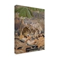 thumbnail image 2 of Trademark Fine Art 'Bunnies' Canvas Art by Rusty Frentner, 2 of 3