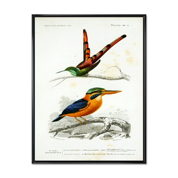 Designart 'Ancient Bird I' Traditional Framed Canvas Wall Art Print