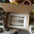 thumbnail image 3 of Teeth Pots White Ceramic Succulent Planter Pots/Mini Flower Plant Containers Cute Animal Shaped Cartoon Planter White, 3 of 7