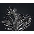 thumbnail image 4 of 3D Wallpaper Black Tropical Steel Leaf SKU# WAL0310, 4 of 11