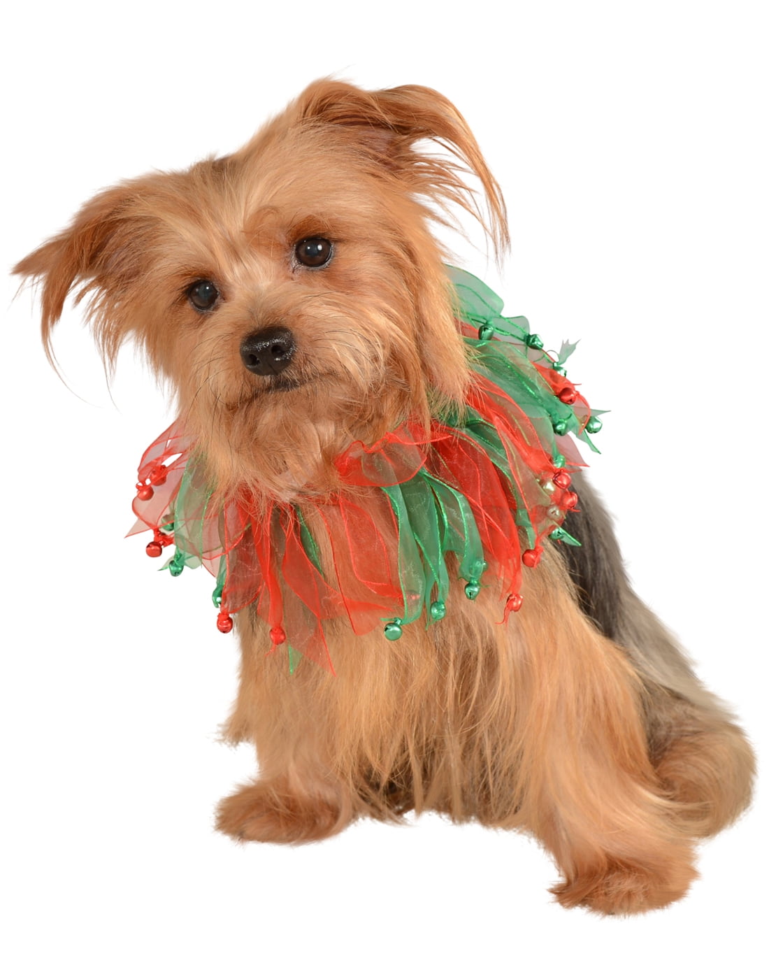 dog christmas bell collar