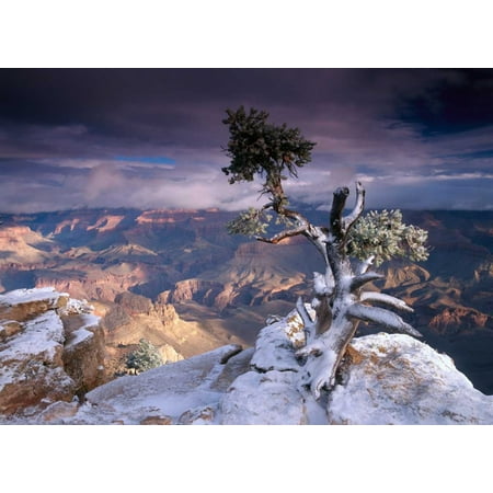 South Rim of Grand Canyon with a dusting of snow seen from Yaki Point Grand Canyon National Park A Poster Print by Tim (Best Way To Clean Brake Dust From Rims)