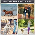 thumbnail image 5 of NexaPaw Biothane Dog Leash, 5 of 10