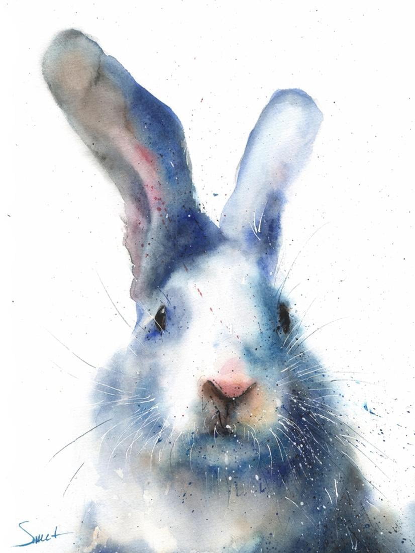 White Rabbit Watercolor Bunny Portrait Print Wall Art By Eric Sweet - Walmart.com